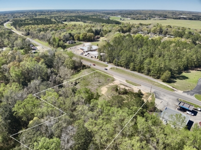 2.5ac Commercial Lot for Sale Geneva Alabama - Hwy 52 - image 11