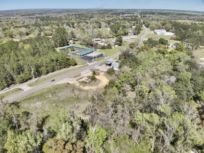 2.5ac Commercial Lot for Sale Geneva Alabama - Hwy 52 - image 24