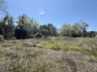 2.5ac Commercial Lot for Sale Geneva Alabama - Hwy 52 - image 19