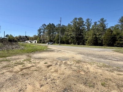 2.5ac Commercial Lot for Sale Geneva Alabama - Hwy 52 - image 16