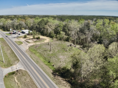 2.5ac Commercial Lot for Sale Geneva Alabama - Hwy 52 - image 12