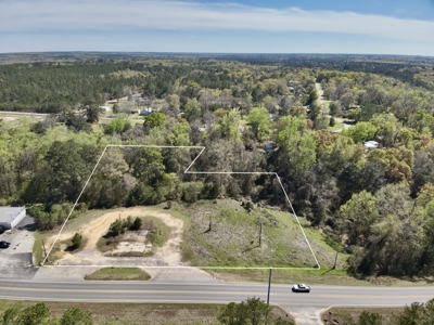 2.5ac Commercial Lot for Sale Geneva Alabama - Hwy 52 - image 7