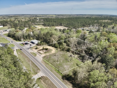 2.5ac Commercial Lot for Sale Geneva Alabama - Hwy 52 - image 1