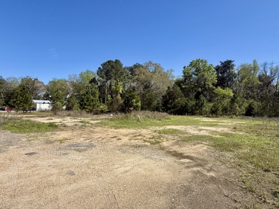 2.5ac Commercial Lot for Sale Geneva Alabama - Hwy 52 - image 4