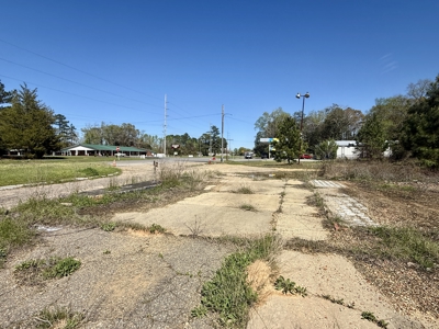 2.5ac Commercial Lot for Sale Geneva Alabama - Hwy 52 - image 3