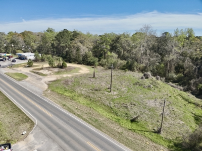 2.5ac Commercial Lot for Sale Geneva Alabama - Hwy 52 - image 22