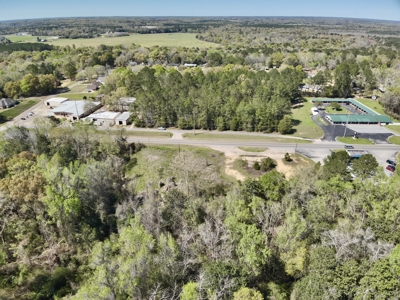 2.5ac Commercial Lot for Sale Geneva Alabama - Hwy 52 - image 23