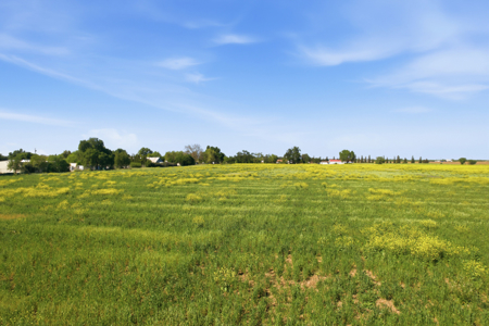 30-Acre Prime Farm Ground -Woodland CA - image 7