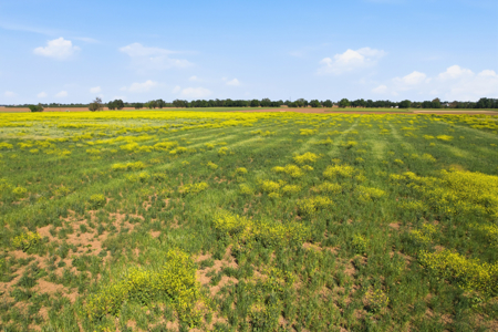 30-Acre Prime Farm Ground -Woodland CA - image 6