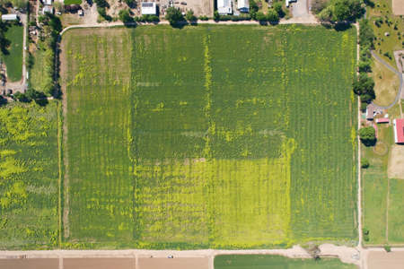 30-Acre Prime Farm Ground -Woodland CA - image 8