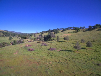 Winters, California Land to Build, Ranch for Sale - image 19
