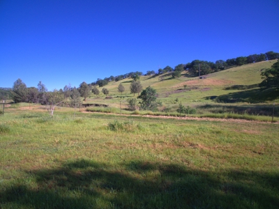 Winters, California Land to Build, Ranch for Sale - image 17
