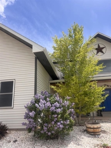 Private Colorado Dream Home on Acreage with Shop, Privacy & View - image 30