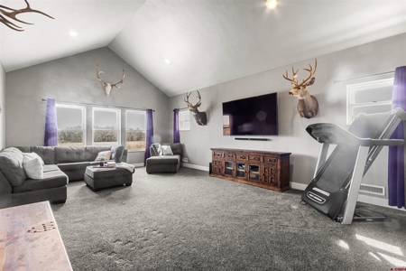 Private Colorado Dream Home on Acreage with Shop, Privacy & View - image 13