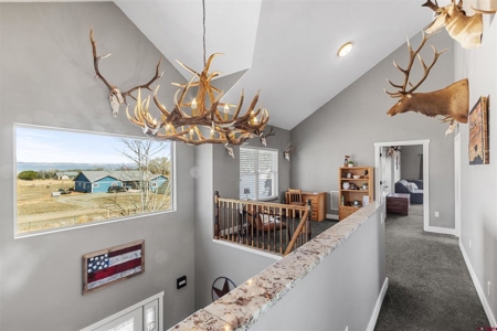 Private Colorado Dream Home on Acreage with Shop, Privacy & View - image 12