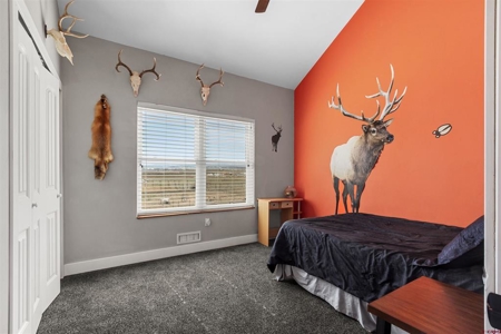 Private Colorado Dream Home on Acreage with Shop, Privacy & View - image 19