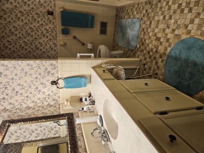 Ranch Home In Historic Winnsboro, South Carolina - image 13