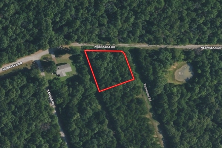 Prime Wooded Corner Lot in Horseshoe Bend Arkansas - image 2