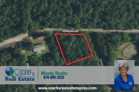 Prime Wooded Corner Lot in Horseshoe Bend Arkansas - image 1