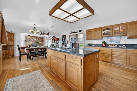 Esparto Historic Estate on 5 Acres with Landmark Barn - image 10