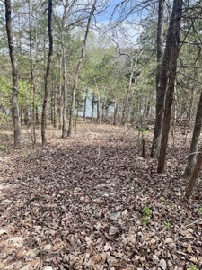 Lakefront lot for sale Cherokee Village, AR - image 7