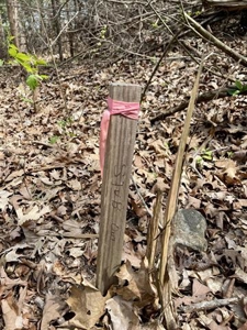 Lakefront lot for sale Cherokee Village, AR - image 8