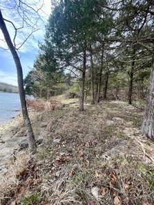 Lakefront lot for sale Cherokee Village, AR - image 20