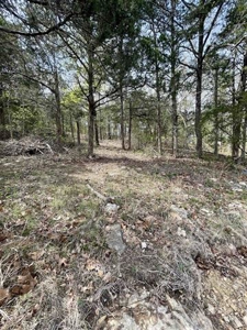 Lakefront lot for sale Cherokee Village, AR - image 17