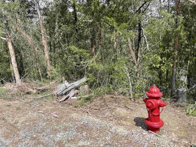 Lakefront lot for sale Cherokee Village, AR - image 12