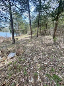 Lakefront lot for sale Cherokee Village, AR - image 15