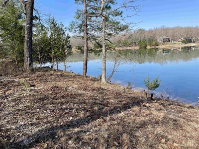 Lakefront lot for sale Cherokee Village, AR - image 5