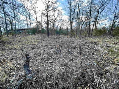 Lakefront lot for sale Cherokee Village, AR - image 3