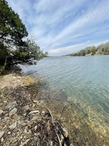 Lakefront lot for sale Cherokee Village, AR - image 18
