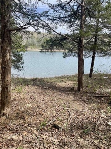 Lakefront lot for sale Cherokee Village, AR - image 9
