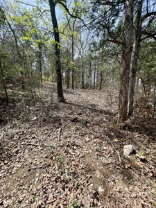 Lakefront lot for sale Cherokee Village, AR - image 14