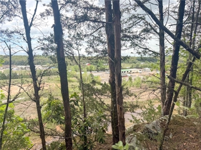 Building Lots Morrilton Gated Hidden Valley  Subdivision For Sale - image 20