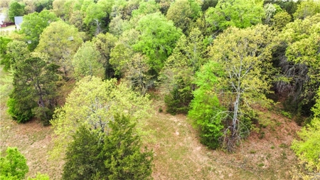 Building Lots Morrilton Gated Hidden Valley  Subdivision For Sale - image 12