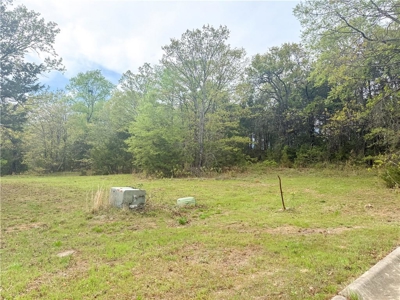 Building Lots Morrilton Gated Hidden Valley  Subdivision For Sale - image 18
