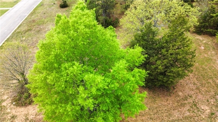 Building Lots Morrilton Gated Hidden Valley  Subdivision For Sale - image 4