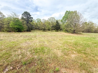 Building Lots Morrilton Gated Hidden Valley  Subdivision For Sale - image 15