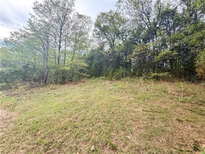 Building Lots Morrilton Gated Hidden Valley  Subdivision For Sale - image 21