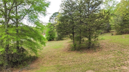 Building Lots Morrilton Gated Hidden Valley  Subdivision For Sale - image 10