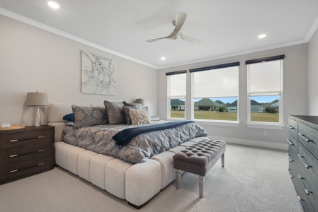 Golf Course Luxury Home in Robson Ranch Denton - image 19