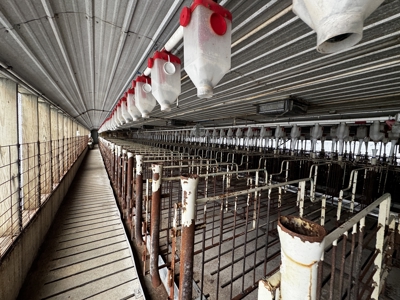 3.5± acre livestock facility located in the Town of Richmond - image 11