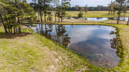 Country Home with Stables for sale in Marshall, TX - image 19