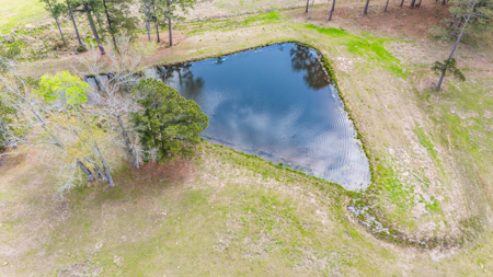 Country Home with Stables for sale in Marshall, TX - image 14