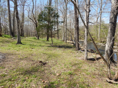 FOR SALE – Peaceful Country Living on 1.87 Acres Near Waynesboro! - image 25