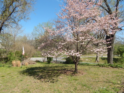 FOR SALE – Peaceful Country Living on 1.87 Acres Near Waynesboro! - image 26