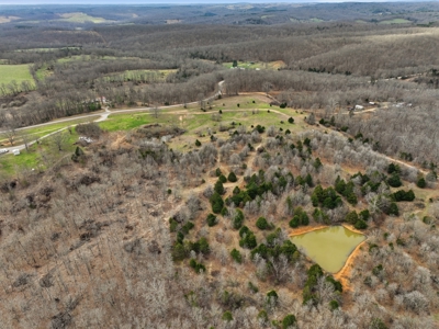 Cabin on 41.83 Acres for Sale | Hunting Land | Highway Frontage - image 20