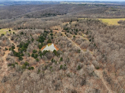 Cabin on 41.83 Acres for Sale | Hunting Land | Highway Frontage - image 11
